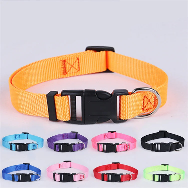 9 Colors Cheap Wholesale Nylon Adjustable Dog Collar Pet Collar Plain for Dogs