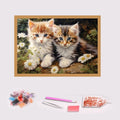 COOLEVE Factory Handmade Creative Educational DIY Diamond Painting Custom 5D Material Pack Novelty Gifts for Handmade