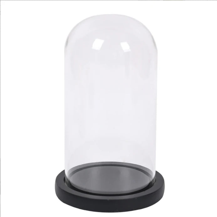 Cylindrical Black Base Glass Cover Transparent Dome Spherical Eternal Flower Ornaments Hand-made Dust Cover