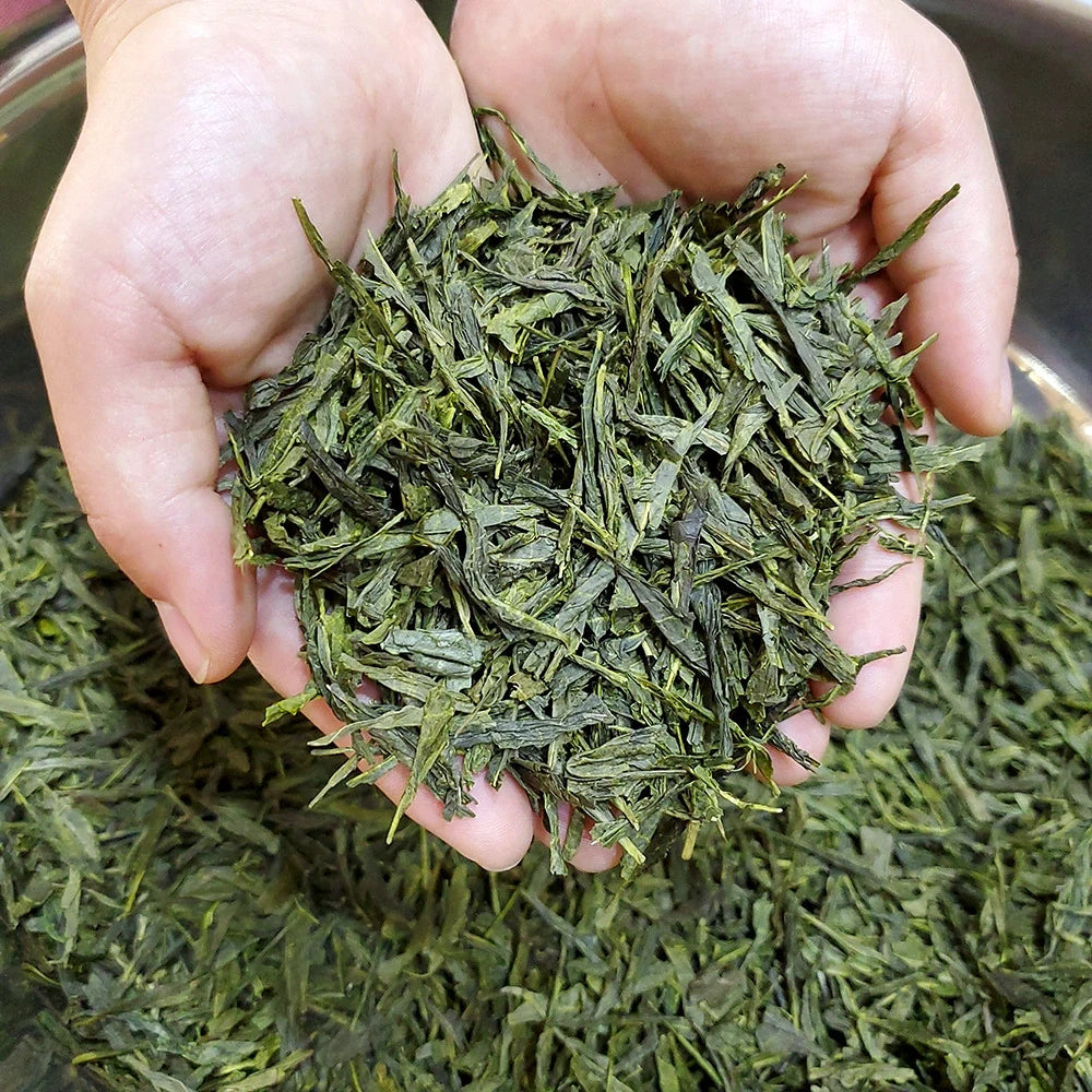 High Mountain Sencha Green Tea Loose Leaf Wholesale Japanese Green Tea