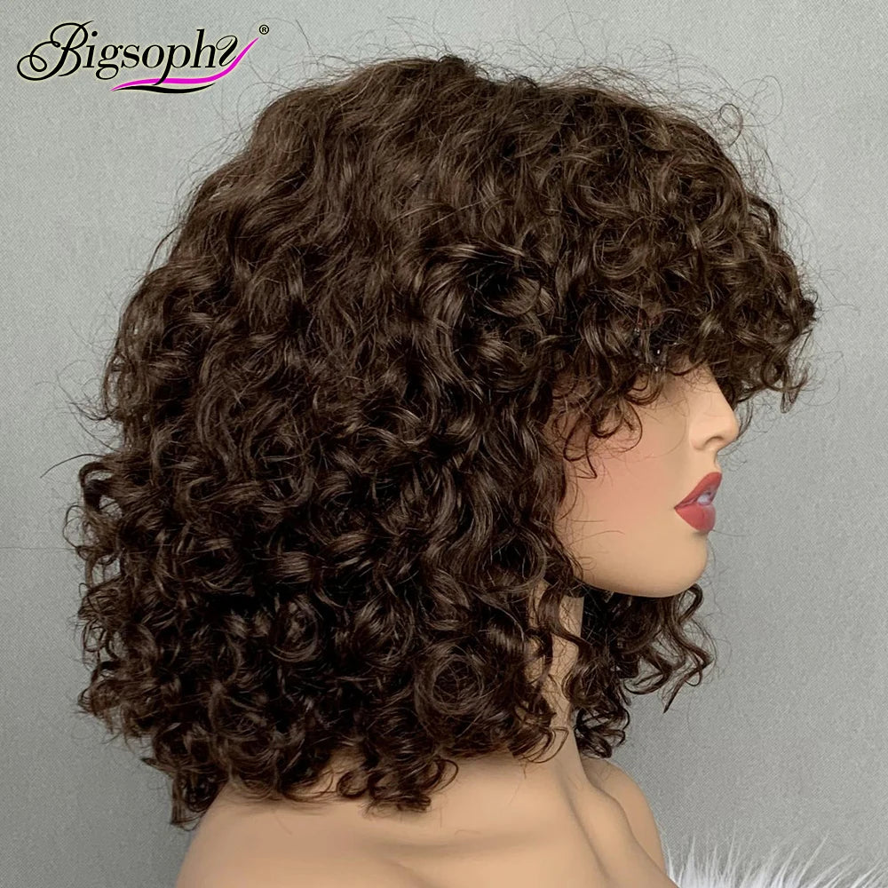 Super Double Drawn Vietnamese WigsGlueless Short Bob Wig With Bang12 Inch Color #4 Curly Wig Human Hair