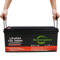 Wholesale Customized LiFePo4 Battery 12V 24V 48V 100AH 200Ah 300Ah 400Ah Solar Battery Storage Systems MegaBDM