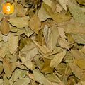 Bulk High Quality Spice Drying AD Raw Bay Leaf Trade Dried Laurel Exporter Unclechef Brand