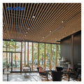 Modern U-Shaped Aluminum Linear Beam Metal Baffle Ceiling Systems Fireproof Soundproof Heat Insulation Hotels Malls Brushed