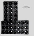 Customized Disposable Plastic 21 Hole Plant Seed Tray Plastic Growth Hole Tray