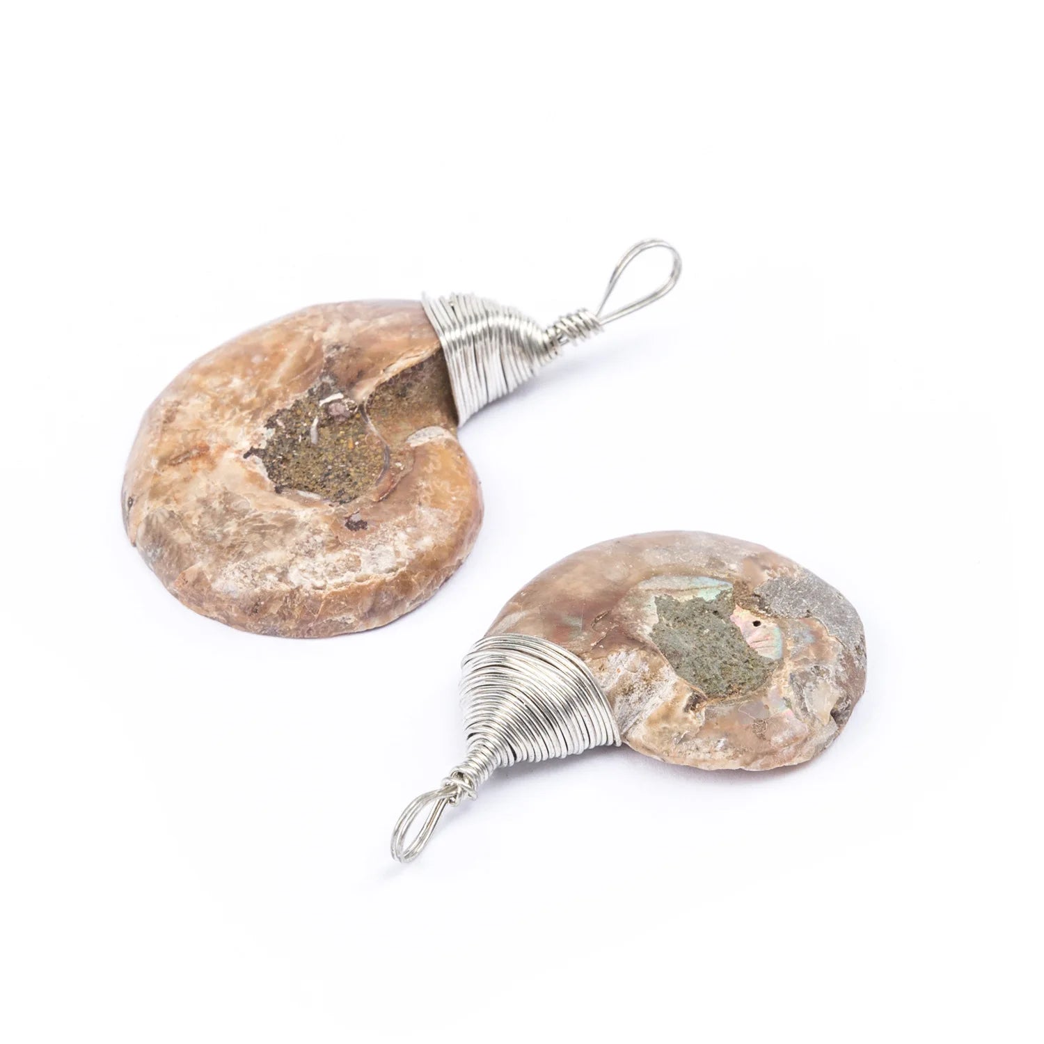 Latest Hot Sale Natural Ammonite Pendant Gold Silver Wrapped Charm Handmade Jewelry Conch Shell Necklace for Women Men