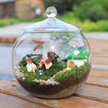 Tabletop Decorative Round Borosilicate Glass Table Vase Terrarium Globe Planter for Succulent Plants
