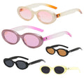 Fashion Label Sunglasses Female Small Frame Luxury Vintage Shade Supply Wholesale Price Vintage Oval Sunglasses
