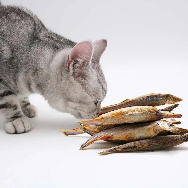 Oem Processing capelin fish Freeze-dried Cat Food Fresh Meat Cat Snacks Freeze dried Pet Food