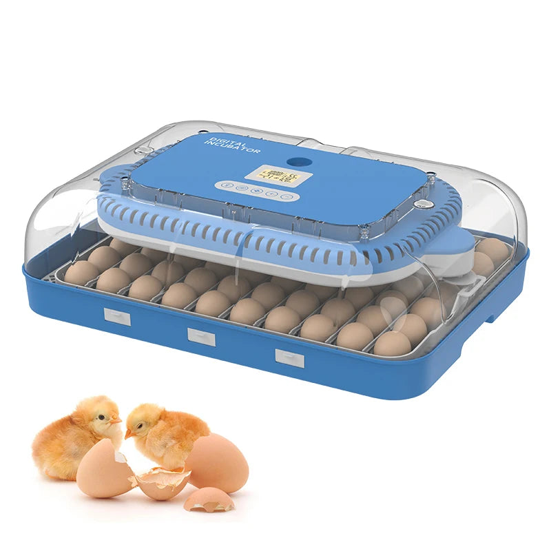 70 Eggs Electric Solar Incubator Solar Energy Egg Incubator