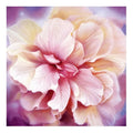 Ever Moment Diamond Painting Pink and Purple Flower Full Square Drill Wall Decoration Cross Stitch S2F2247
