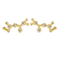 Dylam Sagittarius Stud Earrings 2021With Zircon 925 Silver Earrings For Women Luxury Earrings Trendy