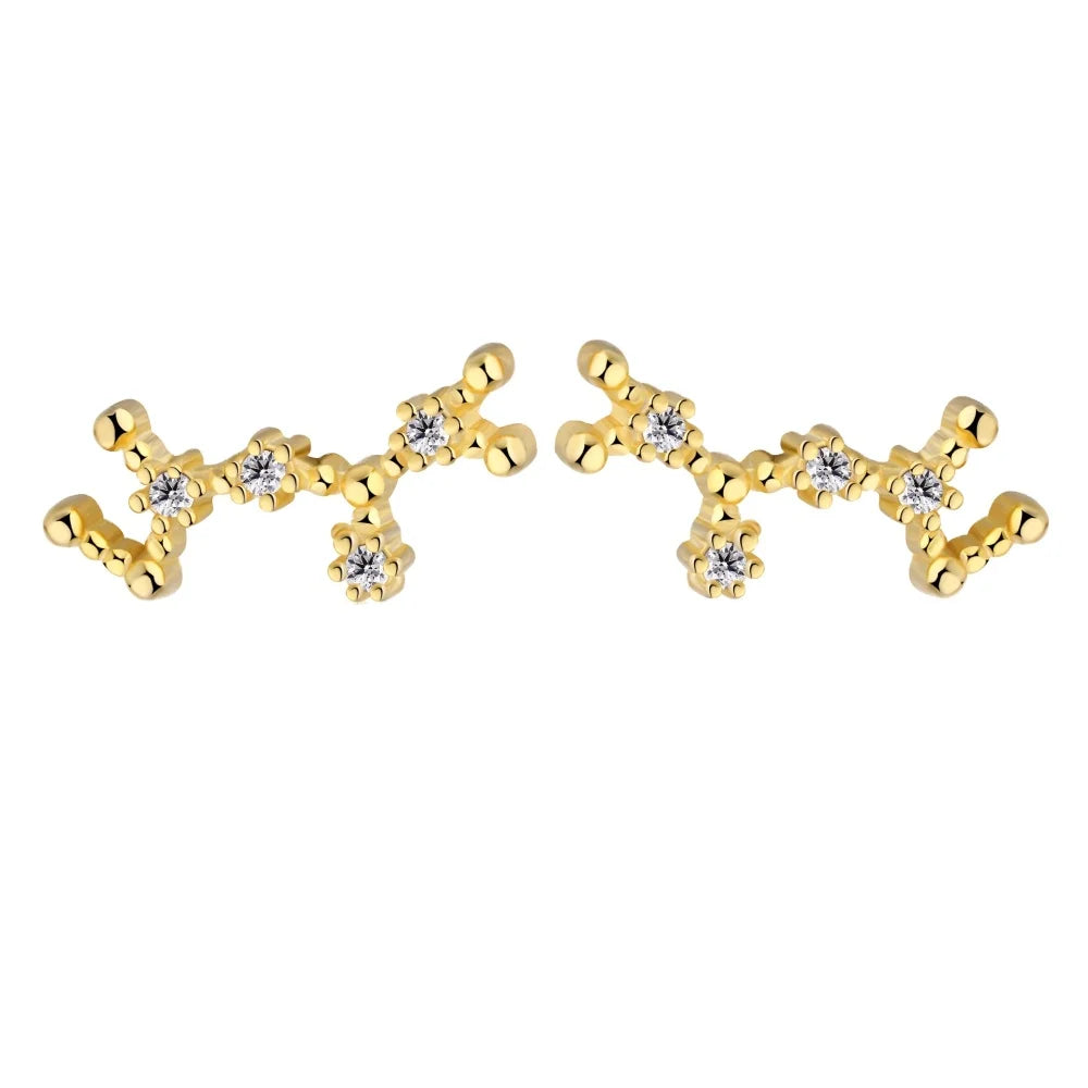 Dylam Sagittarius Stud Earrings 2021With Zircon 925 Silver Earrings For Women Luxury Earrings Trendy