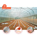 Hot Galvanized Steel Agriculture Top Vent Greenhouse Single-span Poly Film Manual or Electric Roll up Ventilation Greenhouse