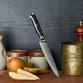 5 Inch Kitchen Utility Knife Multipurpose Small Kitchen Knife VG10 Damascus Steel Fruit Paring Knife with G10 Handle
