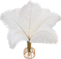 Wholesale White 10-12in Ostrich Drab Craft Feathers for Wedding Home Decoration Carnival Costume Accessories