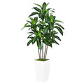 Realistic Simulation Brazil Iron Tree Bonsai Artificial Cornstalk Dracaena Plastic Live/Branch/Silk/Faux Plant
