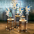 Set 3 Wedding Cake Table Flower Stands Elegant Road Lead Ornaments for Wedding Display Stage Background Decoration Cartons