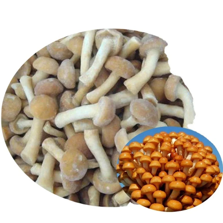 IQF Supplier Export Buyers Price Organic Grade a Cultivated Frozen Nameko Mushroom