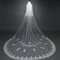 Exquisite Lace Embroidery Bridal Veil Fairy Trailing Long Veil Double Layer Wedding Veil