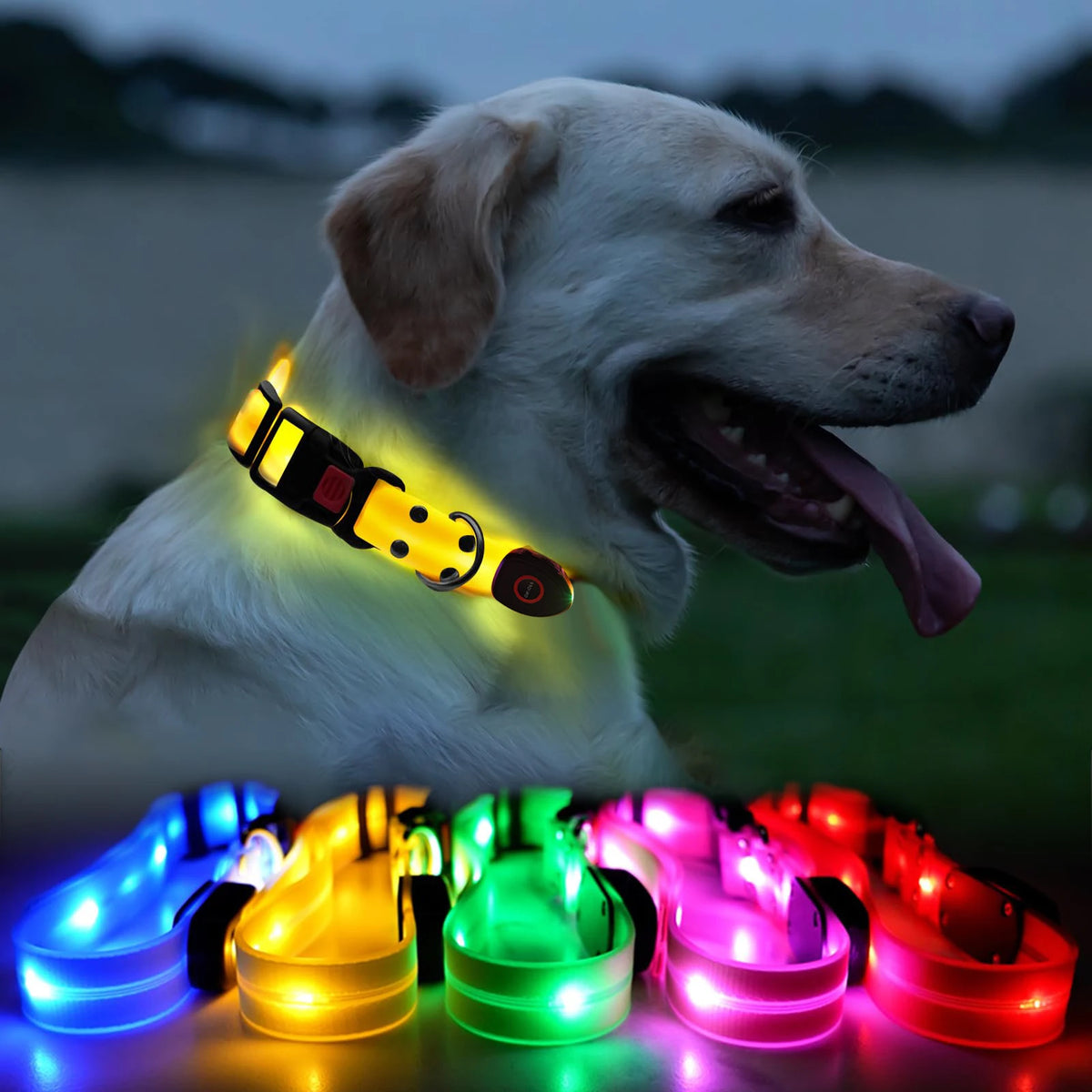SinSky Adjustable Flash LED Dog Leash Collar USB Rechargeable Glow in the Dark Waterproof PVC Dog Collar for Pet Night Anti-Lost MegaBDM