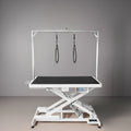 PETSPROOFING Electrical Adjustable Height Large Dog Cat Pet Animal Grooming Table Tables with Arm for Pet