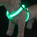 Factory Direct Luminous Night Lighting Battery USB Chest Harness Traction Rope