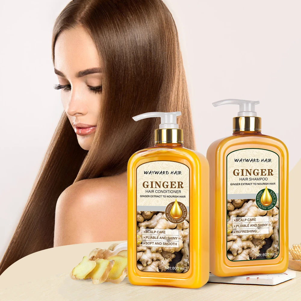Anti Loss Hair Fall Hair Growth Shampoo Anti-dandruff Oil Control Ginger Hair Growth Shampoo