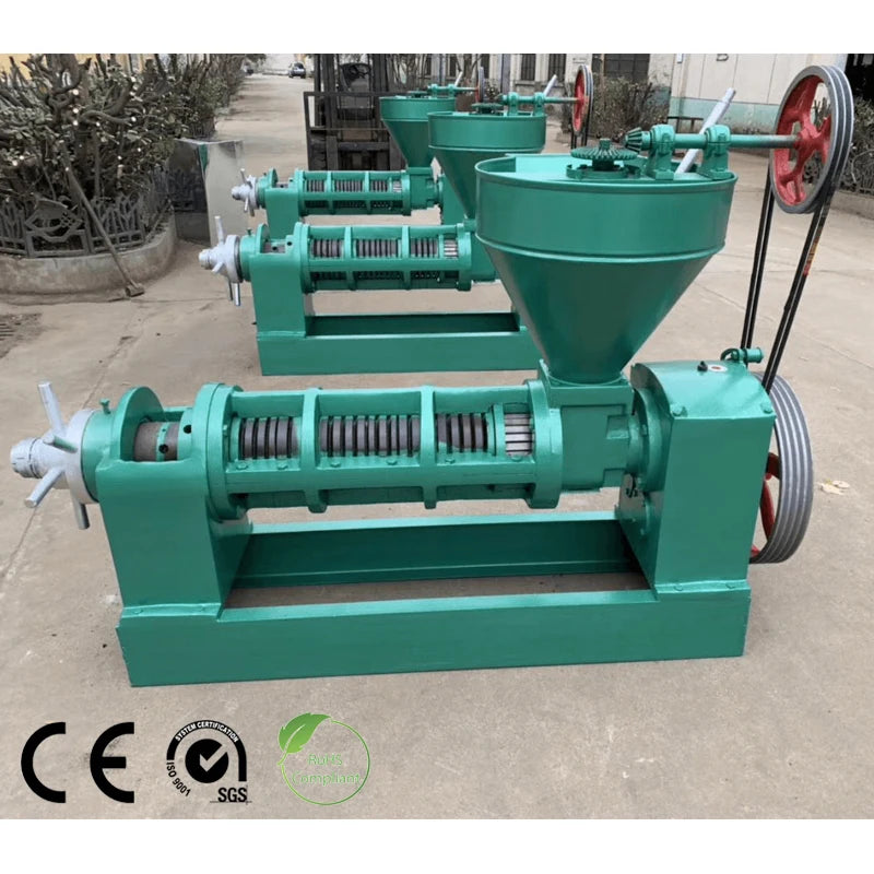 Moringa Seed Oil Extraction Soyabean Extruder Oil Extruder Machine Oil Pressing Machine for Sun Flower Seeds