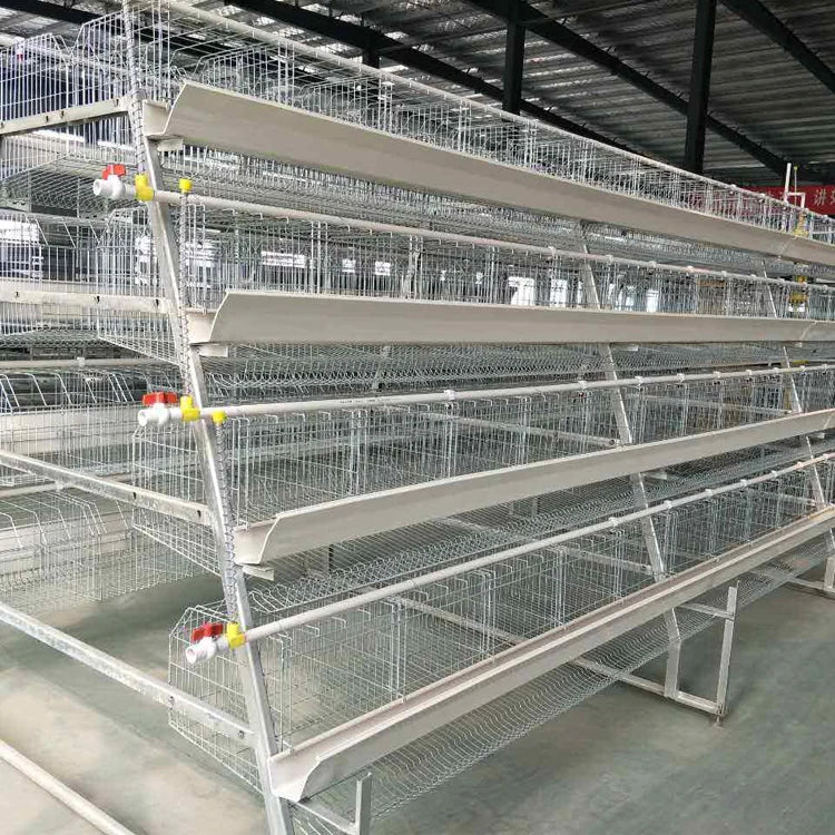 2025 Hot Sale Agricultural Equipment AType Animal Cage for Layer Chickens  Hot Dip Galvanizing Material