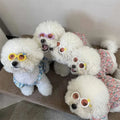Ins New Korean Crown Cat Eyewear Sunglasses Pet Decorative Cosplay Photo Props Sunglasses for Pets