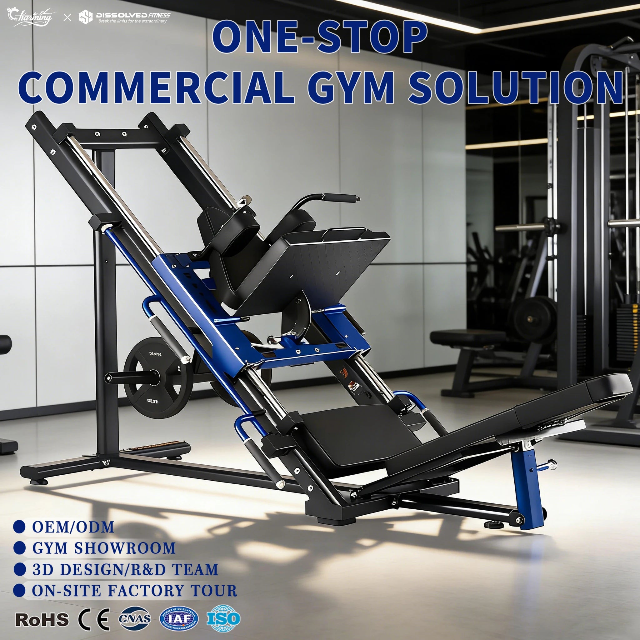 Commercial Gym Fitness Equipment Degree Leg Press Steel Machines Leg Curl Extension Plate Cable Crossover Machine OEM Load
