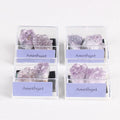 JSY Jewelry Crystal Gemstone with Display Box Collection Healing Irregular Rock Stone Mix Natural Love Feng Shui 5 Boxes 10g-15g