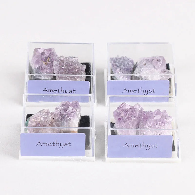 JSY Jewelry Crystal Gemstone with Display Box Collection Healing Irregular Rock Stone Mix Natural Love Feng Shui 5 Boxes 10g-15g