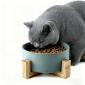 Pet Dog Cat Ceramic Feeder Bowl with Bamboo Frame Colorful Design Rounded Shape 13cm*5cm Size Indoor Use