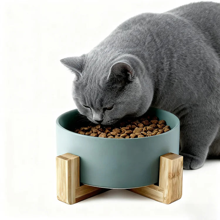 Pet Dog Cat Ceramic Feeder Bowl with Bamboo Frame Colorful Design Rounded Shape 13cm*5cm Size Indoor Use