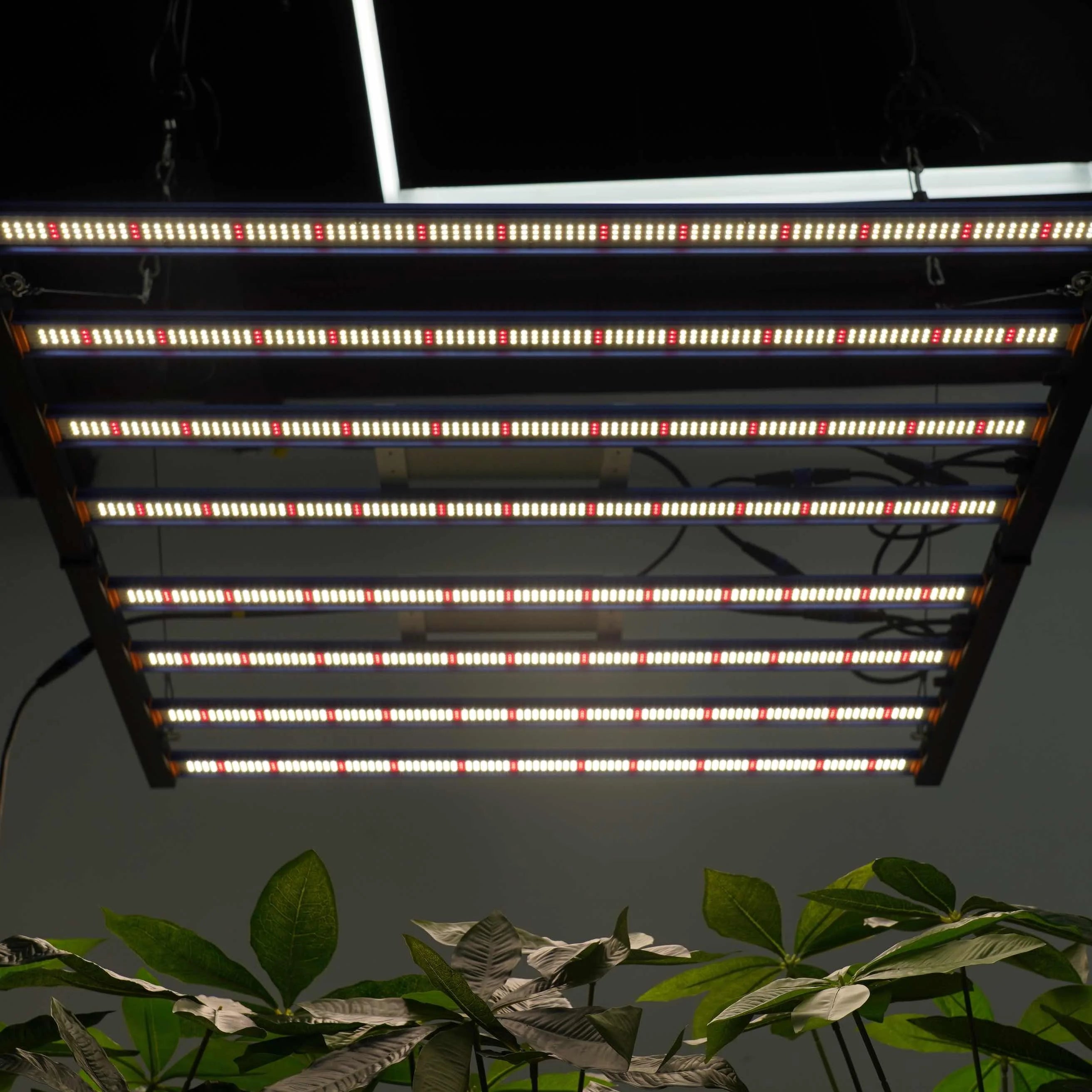 Meijiu Lighting Best Sale Plant Commercial Vertical Customizable Spectrum Cheap Led Grow Lights Shenzhen 650w 640 Watt