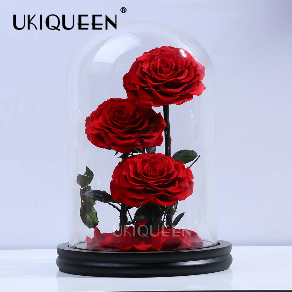 Red Real Fresh Beauty Rose Eternal Enchanted Forever Preserved Flowers Infinity Rose in Glass Dome