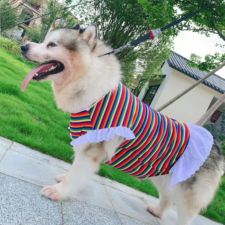 Wholesale Classic Striped Spring Summer Dog Skirt Allah Golden Retriever Large Dog Dress