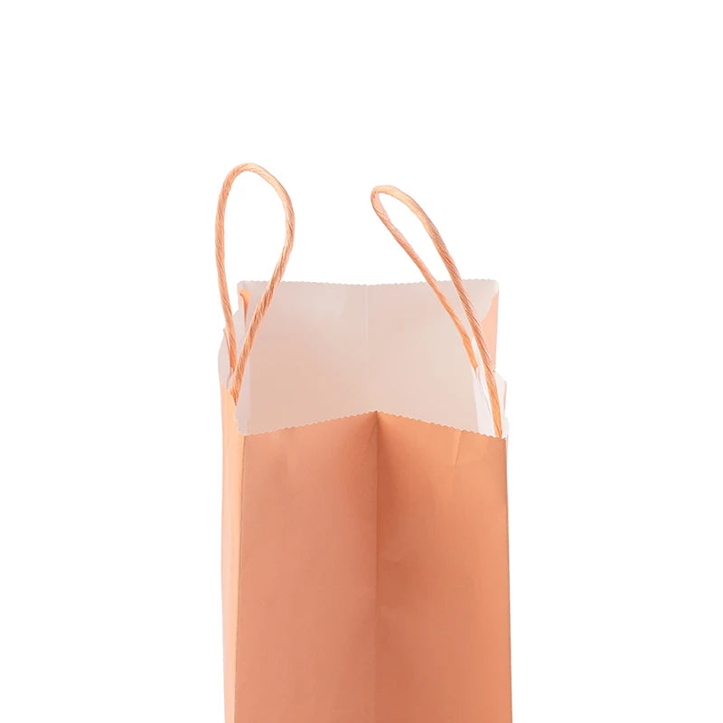 Custom Logo Luxury Gift Carry Cardboard Paper Shopping Bag With Ribbon Handle