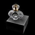In Stock Factory Promotional OEM ODM High End Customizable Luxury Style Empty Parfum Bottle with Surlyn Cap