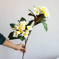 JingRui Artificial Latex Plumeria Frangipani Flower Branches 3D Real Touch 80cm Length Home Decoration Graduation Father's Day