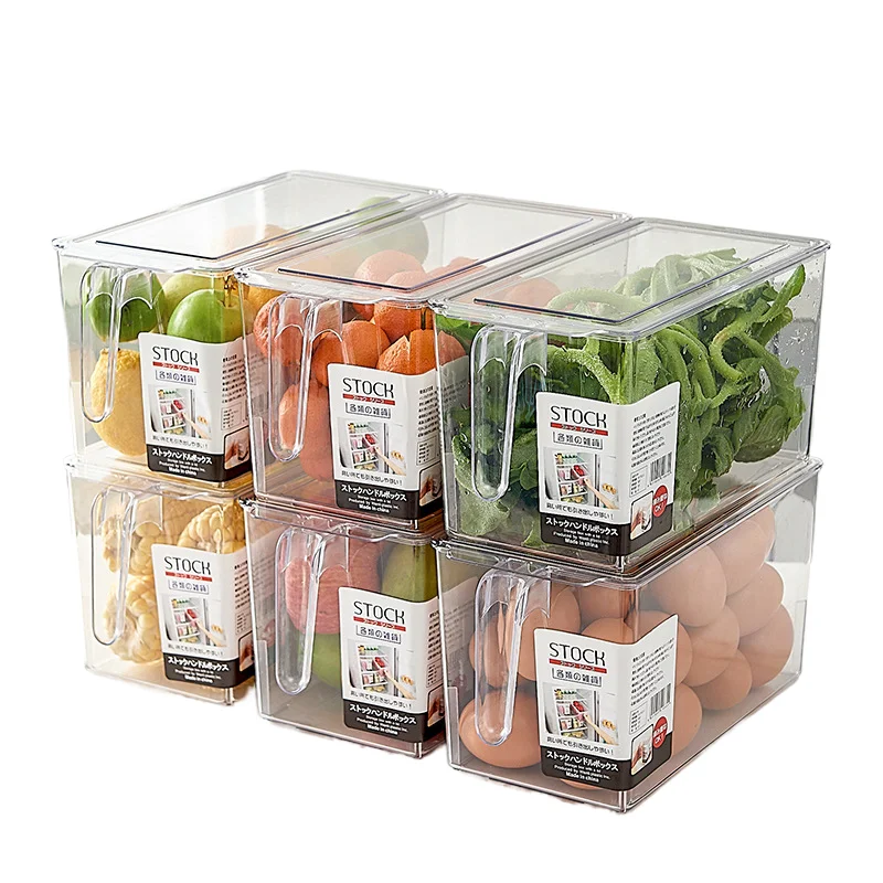 Clear Plastic Rectangle Fridge Freezer Container with Handle Injection Technics for Convenient Food Storage of Fruit Vegetables