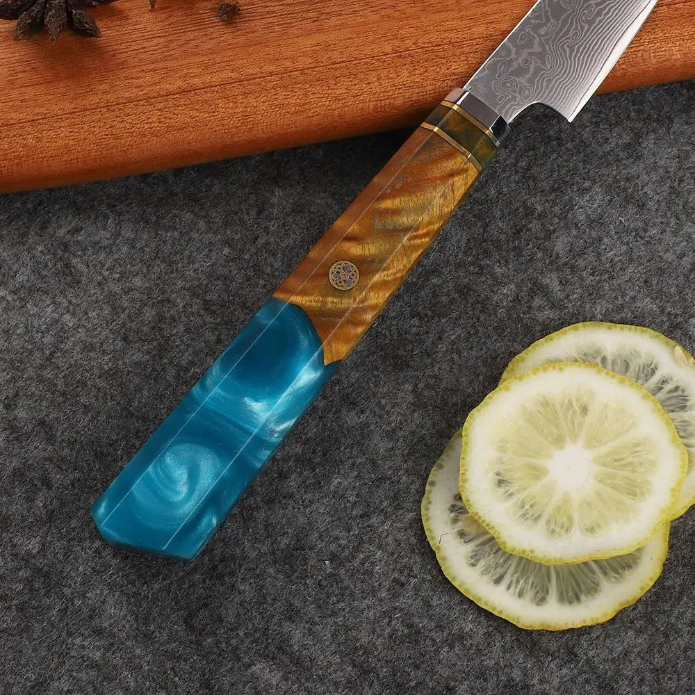 Japanese VG10 67-Layers Damascus Steel Utility Knife With Resin Handle 67-Layers Damascus Steel for Kitchen Use
