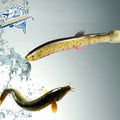 Factory Wholesale 70mm 100mm Artificial Plastic Bionic Freshwater Bass Wobblers Loach Eel Lure Soft Bait