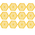 12pcs Queen Bee Cage Garden Hive Bee Push Cage Queen Bee Catcher Cage Spawning Tool Queen Rearing System Kit