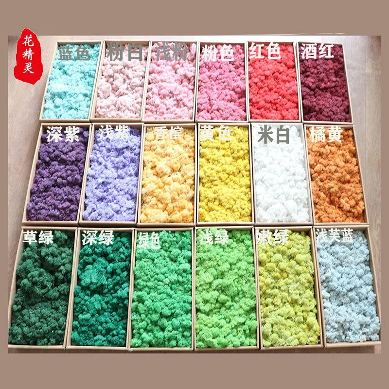 1kg Moss Flower Material Moss Wall Diy Material Coral Grass Miniature Architecture Ho Scale Model for Ho Scale Train