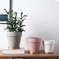 4" 5" 6" Color Ceramic Flower Pots Pottery Planter Pots Terracotta Clay Pot with Gold Tray for Home Decor