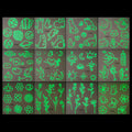 Five & Ten GMPC/Sedex/ISO/EUDR Factory Glow in Dark Tattoos for Night Parties Concerts Body Stickers for Raves Festivals