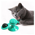 ZMaker Interactive Cat and Dog Toys for Pets Luxury Happy Birthday Custom Set With Catnip